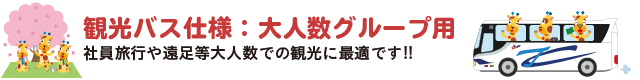 観光バス仕様:大人数グループ用