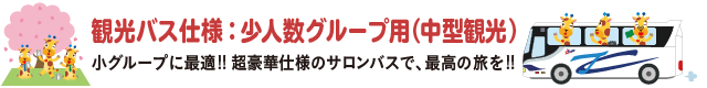 中型観光バス仕様:15~27人程度