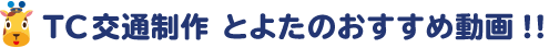 観光動画