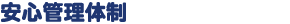 安全管理体制